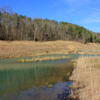 Large Stream at Johnson's Shut-Ins State Park