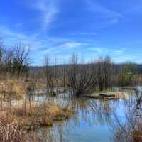 Looking at a pond at Johnson's Shut-Ins State Park