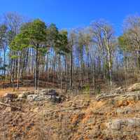 Trees in the distance at Johnson's Shut-Ins State Park