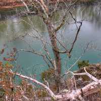 Close view of the river at Meramec State Park, Missouri