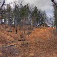 Forest and house at Meramec State Park, Missouri