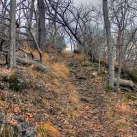 Pathway Up at Meramec State Park, Missouri