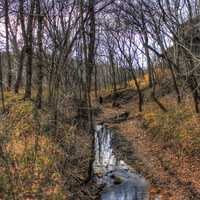 Small Stream at Meramec State Park, Missouri