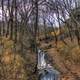 Small Stream at Meramec State Park, Missouri