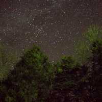 Night Time in the Forest in Ozark National Scenic Riverways, Missouri