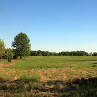 Fields at Route 66 State Park