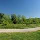 Landscape from Trail