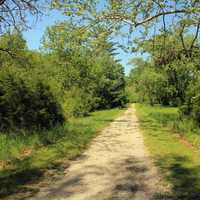 Park Trail at Route 66 State Park