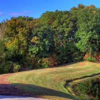 Forest and Pond in St. Louis, Missouri