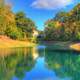 Pond and trees in St. Louis, Missouri