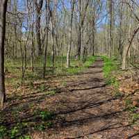 St. Louis trail in Missouri