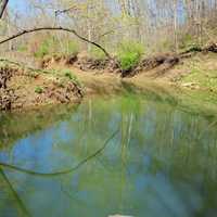 Quiet Stream in St. Louis, Missouri