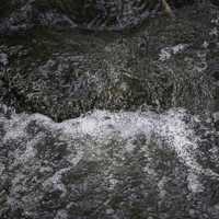 Rushing Water in the Japanese Gardens