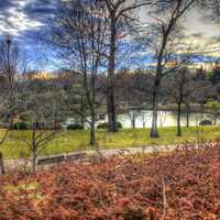 Japanese Gardens in St. Louis, Missouri