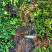 Small waterfall in temperate house in St. Louis