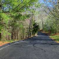 Driveway into the woods in St. Louis, Missouri