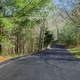 Driveway into the woods in St. Louis, Missouri