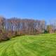 Meadow and landscape in St. Louis, Missouri