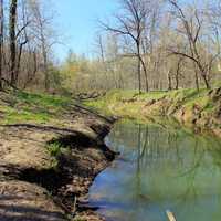 Shore of the Brook in St. Louis, Missouri