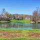 View of the pond in St. Louis, Missouri