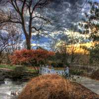 Sunset in the Gardens in St. Louis, Missouri