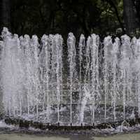 Water Fountain at Botanical Gardens