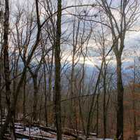 Cloudy Sunset over forest at Weldon Springs Natural Area, Missouri