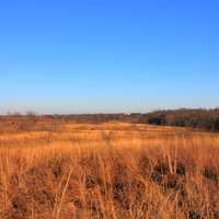 Fields in winter at Weldon Springs State Natural Area, Missouri
