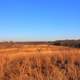 Fields in winter at Weldon Springs State Natural Area, Missouri