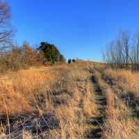 More Hiking Trail at Weldon Springs State Natural Area, Missouri