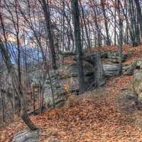 Rocks in the forest at Weldon Springs State Natural Area, Missouri