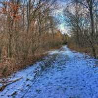 Snowy forest path at Weldon Springs State Natural Area, Missouri