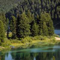 Scenic view of Wade Lake and forest 