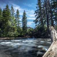 Beaverhead-Deerlodge National Forest