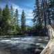 West Fork of the Madison River in Beaverhead-Deerlodge National Forest