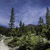 Blue Skies over the Elkhorn Trail