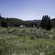 Green Grassy landscape under blue skies in Elkhorn