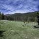 Green hills, grass field, and blue skies in the Elkhorn Mountains