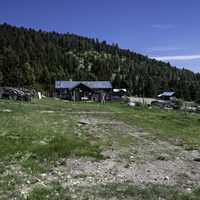 Hills with trees around the town of Elkhorn, Montana