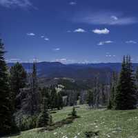 Mountainside Landscape in the Elkhorn Mountains