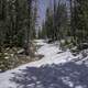 Snowy Hiking Trail with pine trees in the Elkhorn Mountains