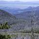 Trees and Mountain Landscape forest at Elkhorn Mountains