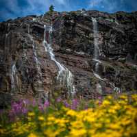 Tall Waterfalls and flowers at Glacier National Park