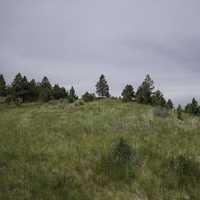 Grass and landscape on Mount Ascension in Helena