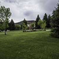 Grass lawn and trees in Helena Park