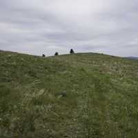 Grassy Hilltop on the Mount Ascension Trail, Helena