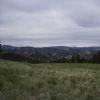 Hills and grassy landscape in Helena