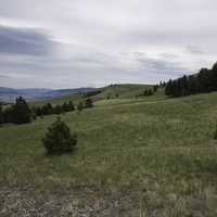 Looking across the grasslands on Mount Ascension, Helena