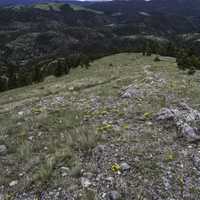 Looking on from the top of Mount Helena