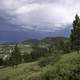 Mountainside landscape with pine trees in Helena, Montana